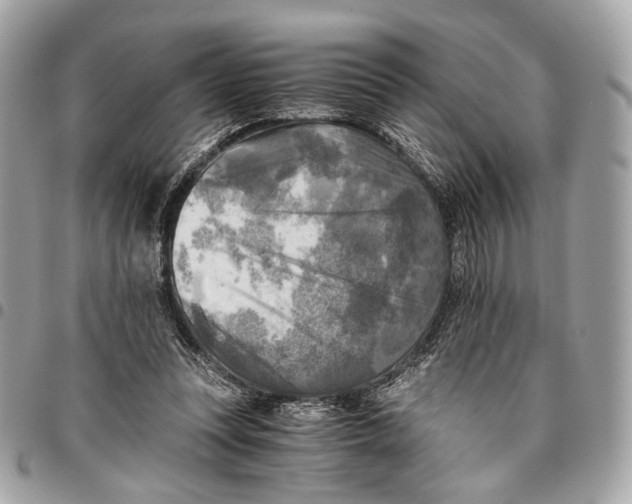 X0000096220351200802081530