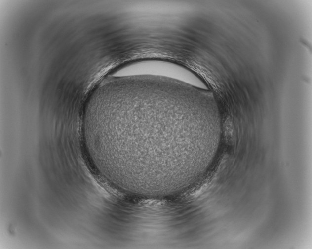 X0000096220352200802081530