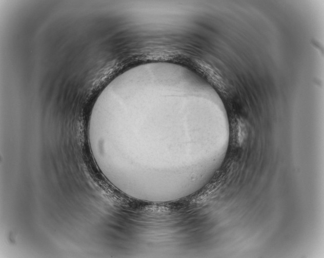 X0000096220354200802081530