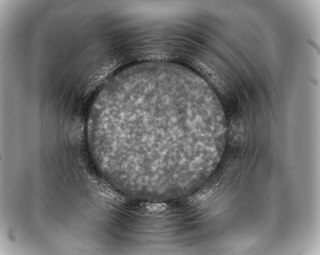 X0000096220355200802081530