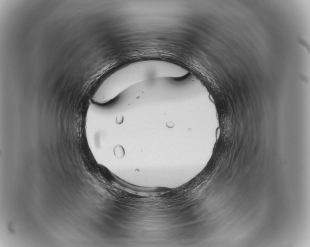 X0000096220356200802081530