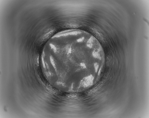 X0000096220358200802081530