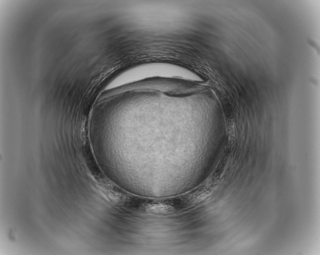 X0000096220360200802081530