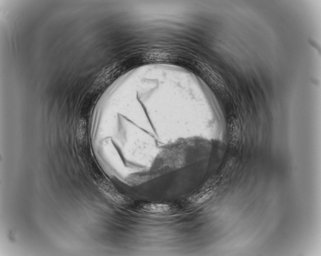 X0000096220361200802081530