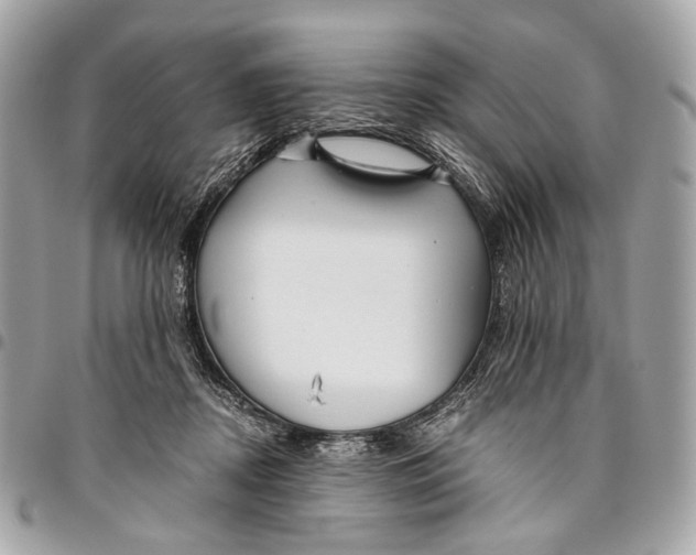 X0000096220362200802081530