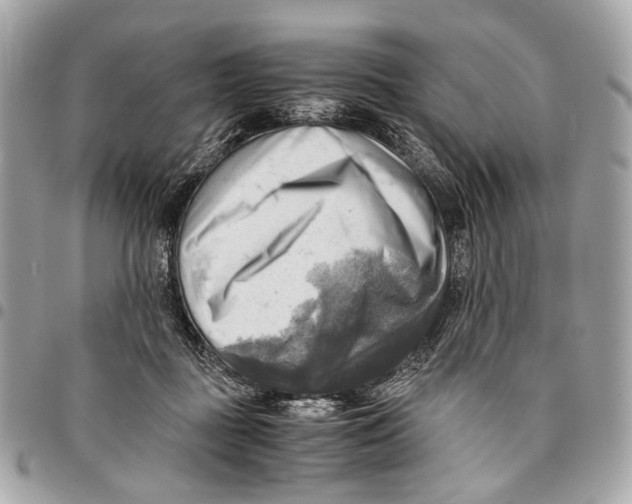 X0000096220363200802081530