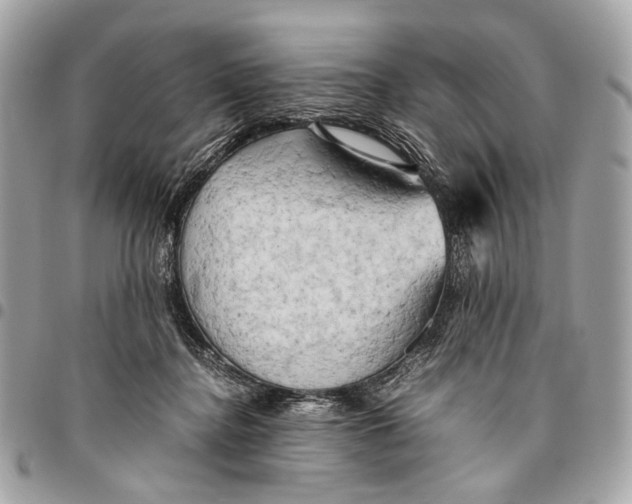 X0000096220364200802081530