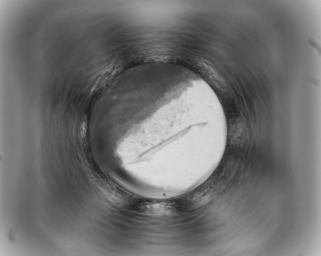 X0000096220365200802081530