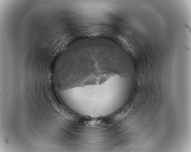 X0000096220366200802081530