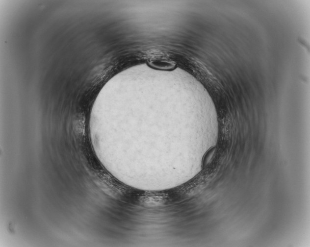 X0000096220368200802081530