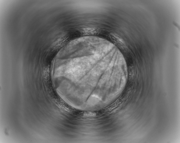 X0000096220369200802081530