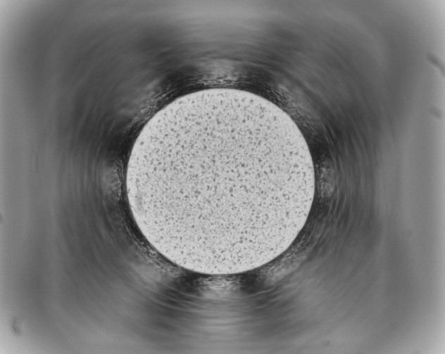 X0000096220370200802081530