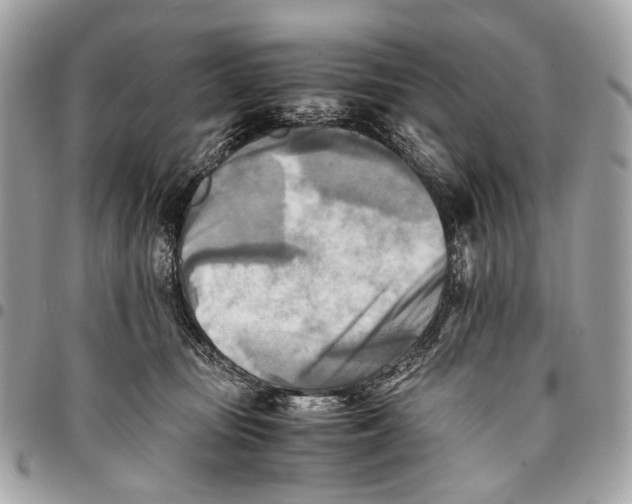 X0000096220371200802081530