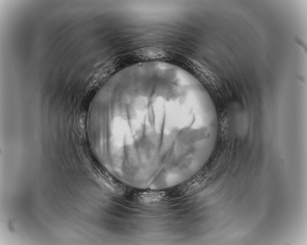 X0000096220373200802081530