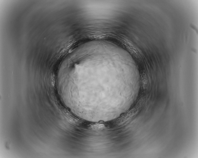 X0000096220374200802081530