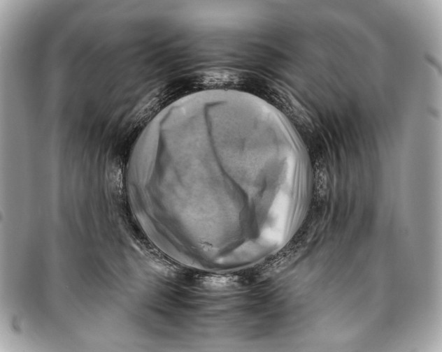 X0000096220375200802081531