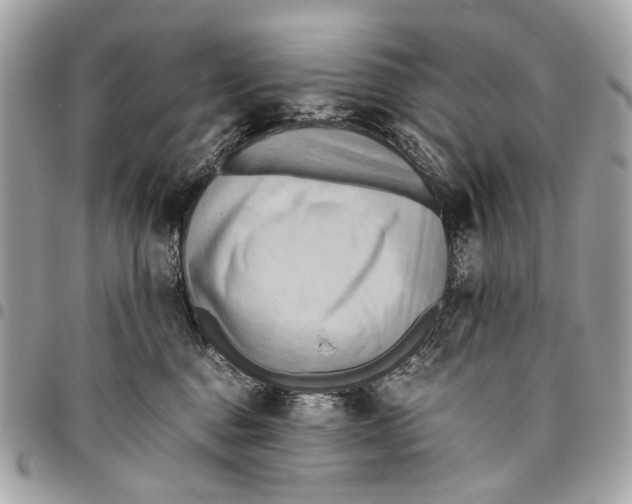 X0000096220376200802081531