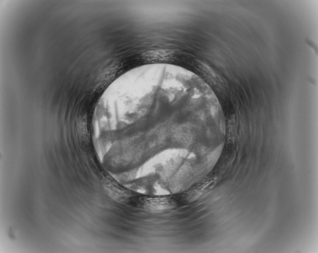 X0000096220377200802081531