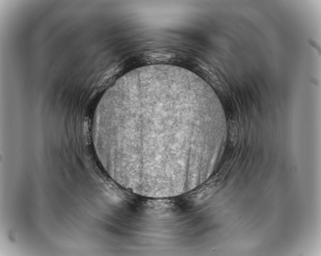 X0000096220378200802081531