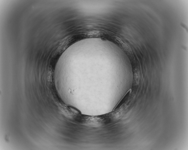 X0000096220379200802081531