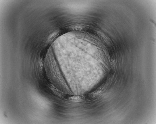 X0000096220381200802081531