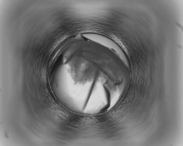 X0000096220386200802081530