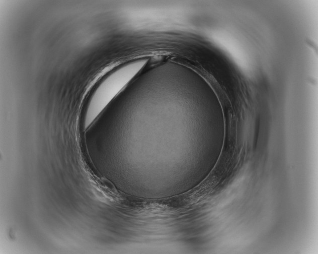 X0000096220387200802081530