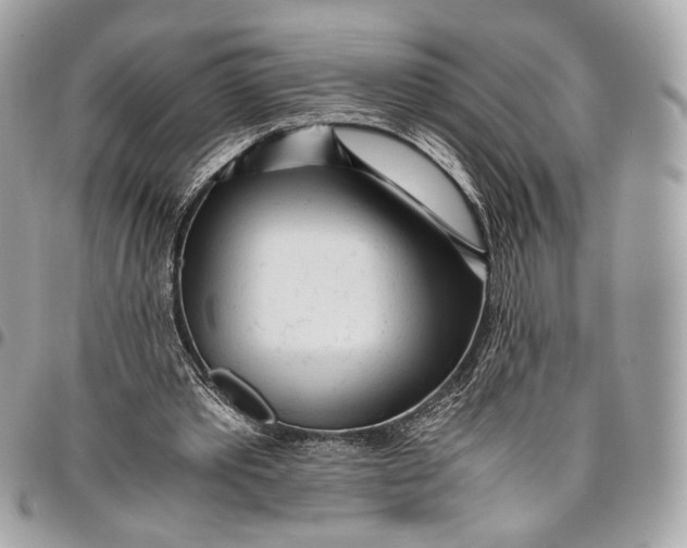 X0000096220389200802081530