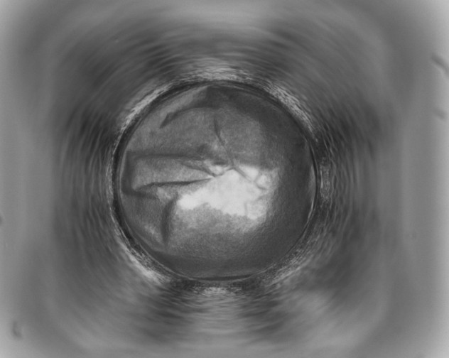 X0000096220390200802081530