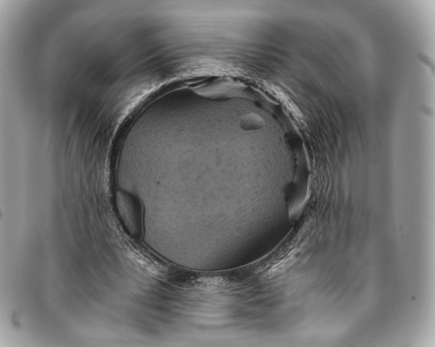 X0000096220391200802081530