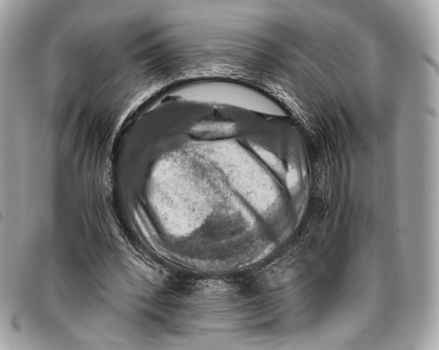 X0000096220392200802081530