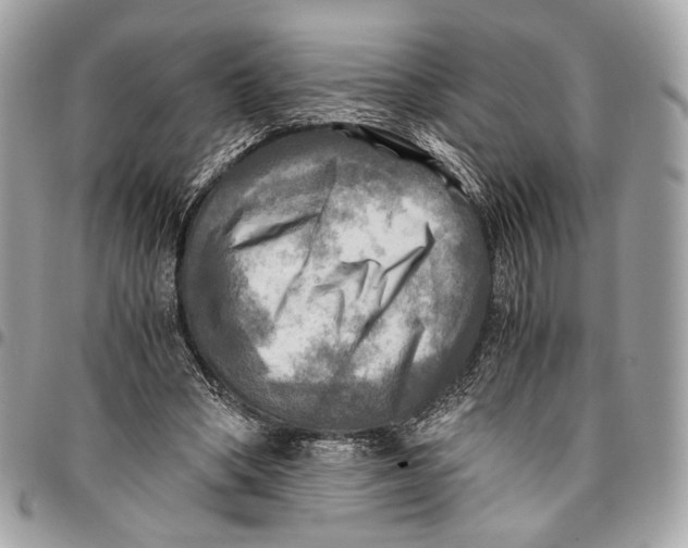 X0000096220394200802081530