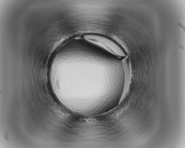 X0000096220395200802081530