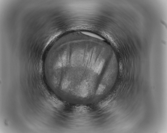 X0000096220396200802081530