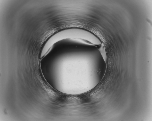 X0000096220397200802081530