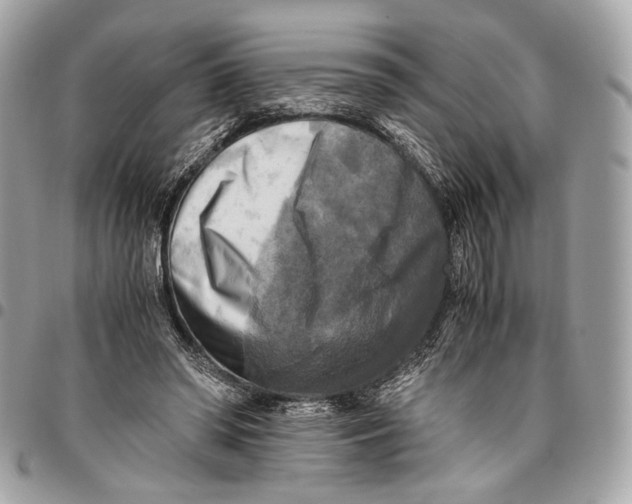 X0000096220398200802081530