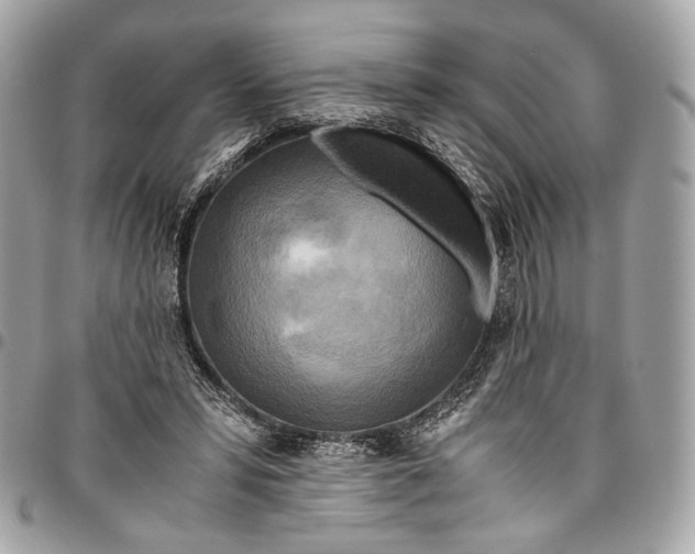 X0000096220399200802081530