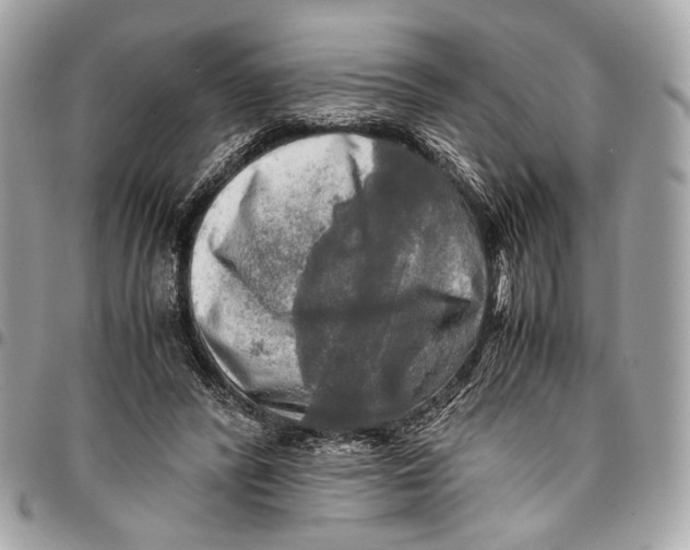 X0000096220400200802081530