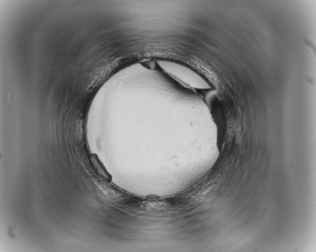 X0000096220401200802081530