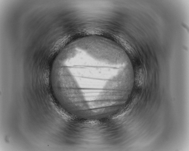 X0000096220402200802081530