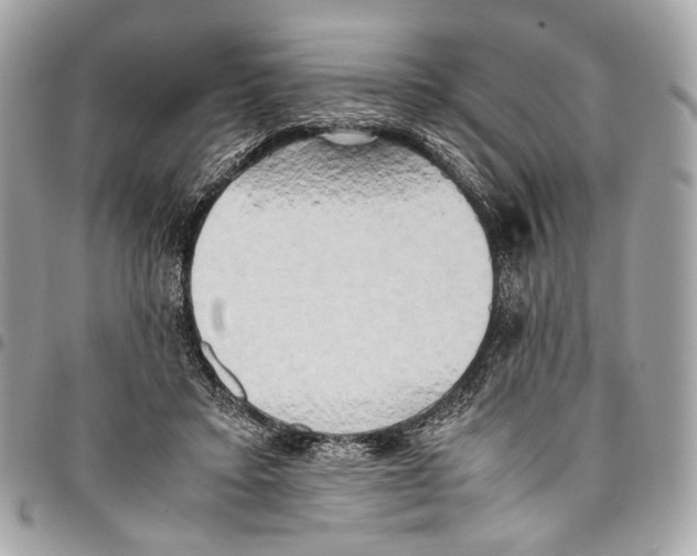 X0000096220403200802081530