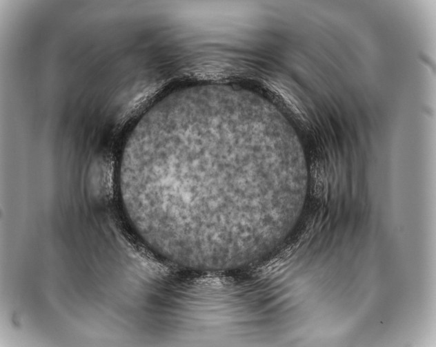 X0000096220404200802081530