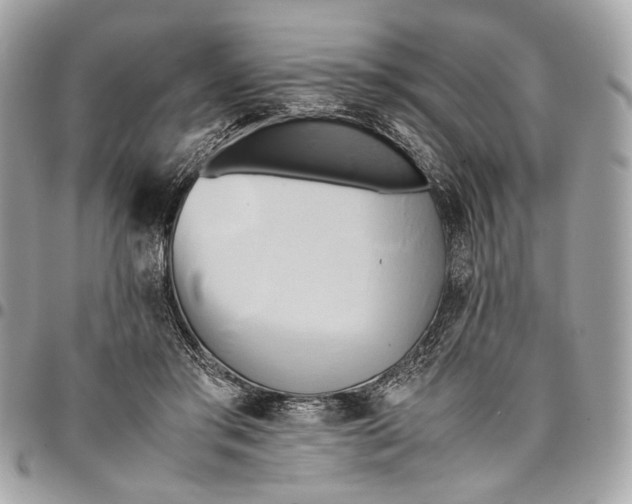 X0000096220405200802081530