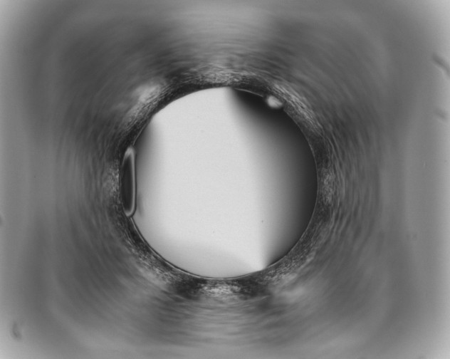 X0000096220407200802081530