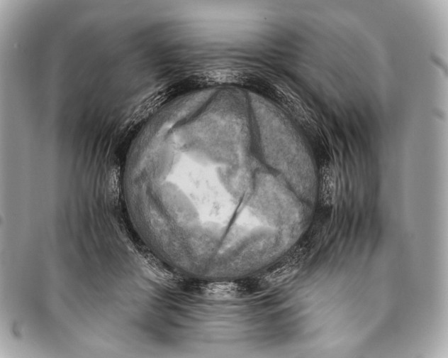 X0000096220410200802081529