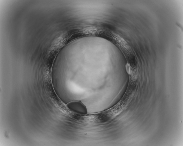 X0000096220411200802081529