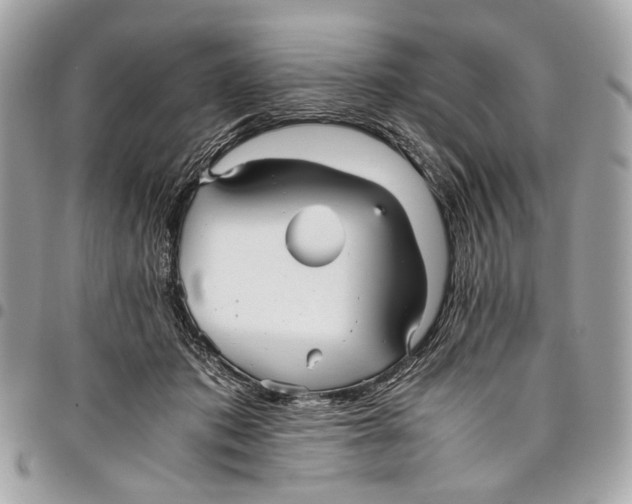 X0000096220413200802081529