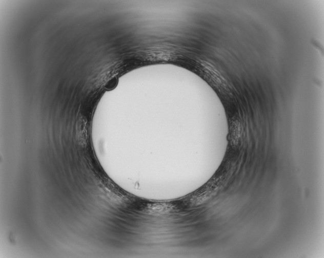 X0000096220414200802081529