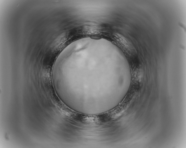 X0000096220415200802081529