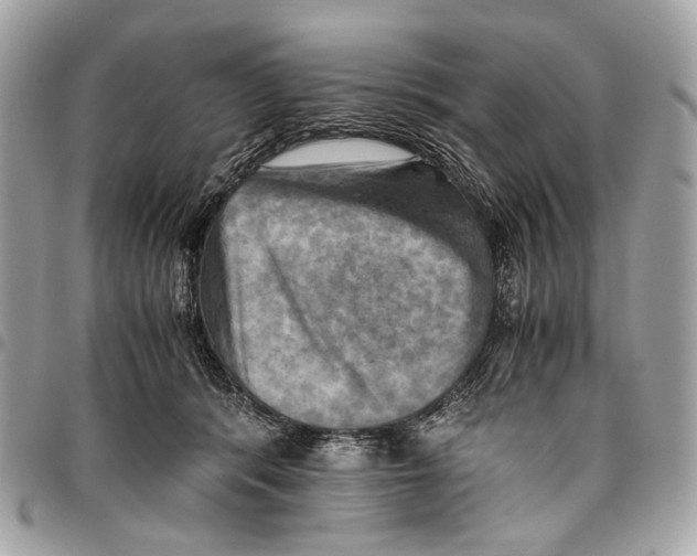 X0000096220416200802081529